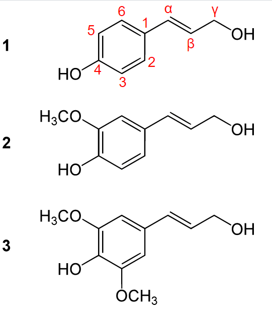 https://cdn.gdch.de/prod/Bild_3_Lignin_Monomere_79a6b5bf90.png