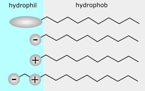 https://cdn.gdch.de/prod/Tenside_Hyrophil_Hydrophob_22db3a4f55.png