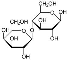 https://cdn.gdch.de/prod/csm_1024px_Lactose_Haworth_svg_298e919558_ae71e7c525.png