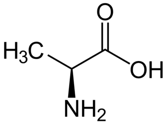 https://cdn.gdch.de/prod/csm_1280px_L_Alanin_L_Alanine_svg_9435512c8c_bf87b3601f.png