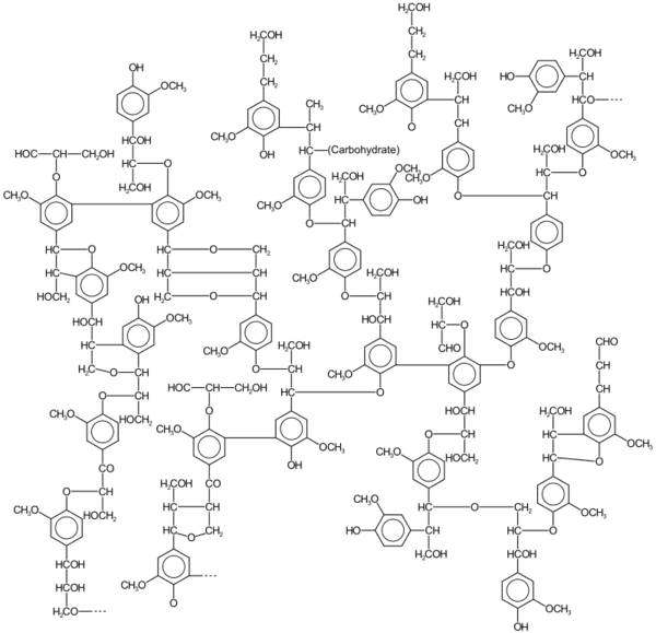 https://cdn.gdch.de/prod/csm_800px_Lignin_structure_svg_1dad04398b_a759fa5ced.png