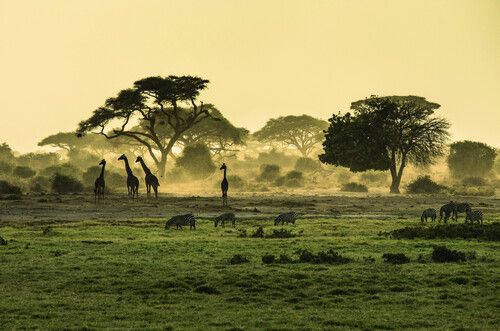 https://cdn.gdch.de/prod/csm_Adobe_Stock_64472028_apinz_3654e9518c_47ebd3bb2a.jpeg