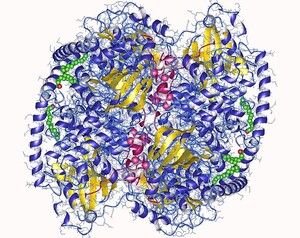https://cdn.gdch.de/prod/csm_Bild_4_Proteinkinase_763cf9186f_dd2cad2e6e.jpg