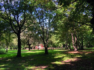 https://cdn.gdch.de/prod/csm_Boscodelle_Querce4_3fb51dd250_08f6d0a37b.jpg