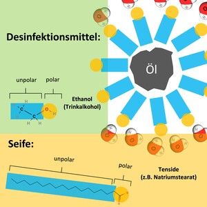 https://cdn.gdch.de/prod/csm_Erli_Viren_Abb4_711452af03_aac7eeda81.jpeg