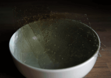 https://cdn.gdch.de/prod/csm_Gelatine_a722104adc_6eb86346d5.png