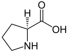 https://cdn.gdch.de/prod/csm_L_Prolin_L_Proline_svg_4e4d3e261e_bd07c91e61.png