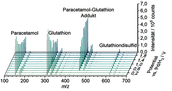 https://cdn.gdch.de/prod/csm_MV_Paracetamol_farbe_4e78169ca0_a3d3b122c7.png
