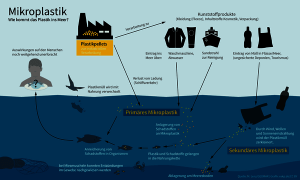 https://cdn.gdch.de/prod/csm_Mikroplastik_im_Meer_ESKP_Wikipedia_6a322365c6_b7784b2fad.png