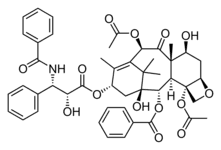https://cdn.gdch.de/prod/csm_Paclitaxel_wiki_0071b276fe_4f6cea6b51.png