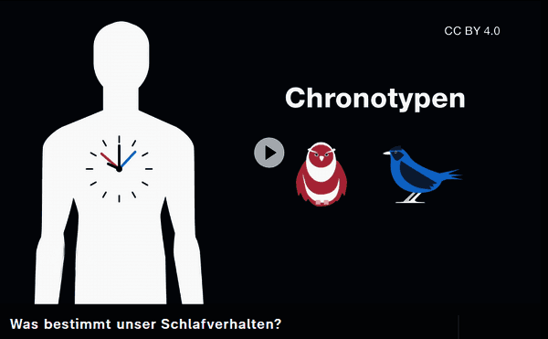 https://cdn.gdch.de/prod/csm_Screenshot_Video_abadff9cb5_3cfe4d8fed.png