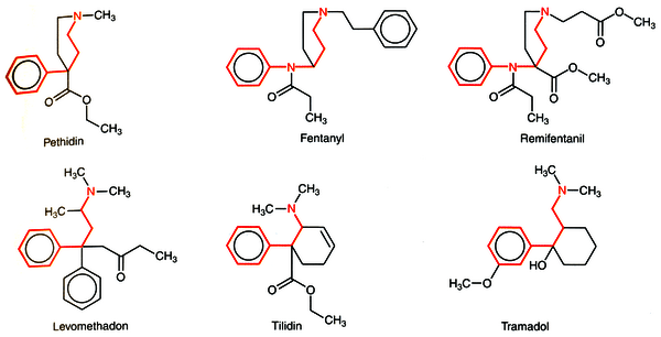 https://cdn.gdch.de/prod/csm_Synthetic_Opiates_Schaumann_504184776c_d1a5240cce.png