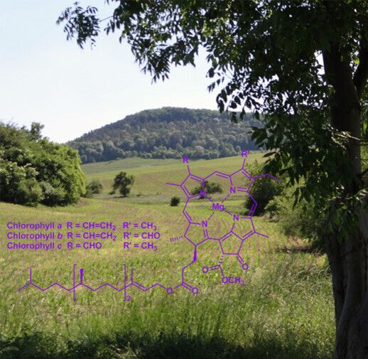 https://cdn.gdch.de/prod/csm_chlorophyl_7811c7bb0d_1bc54ca1d3.jpg